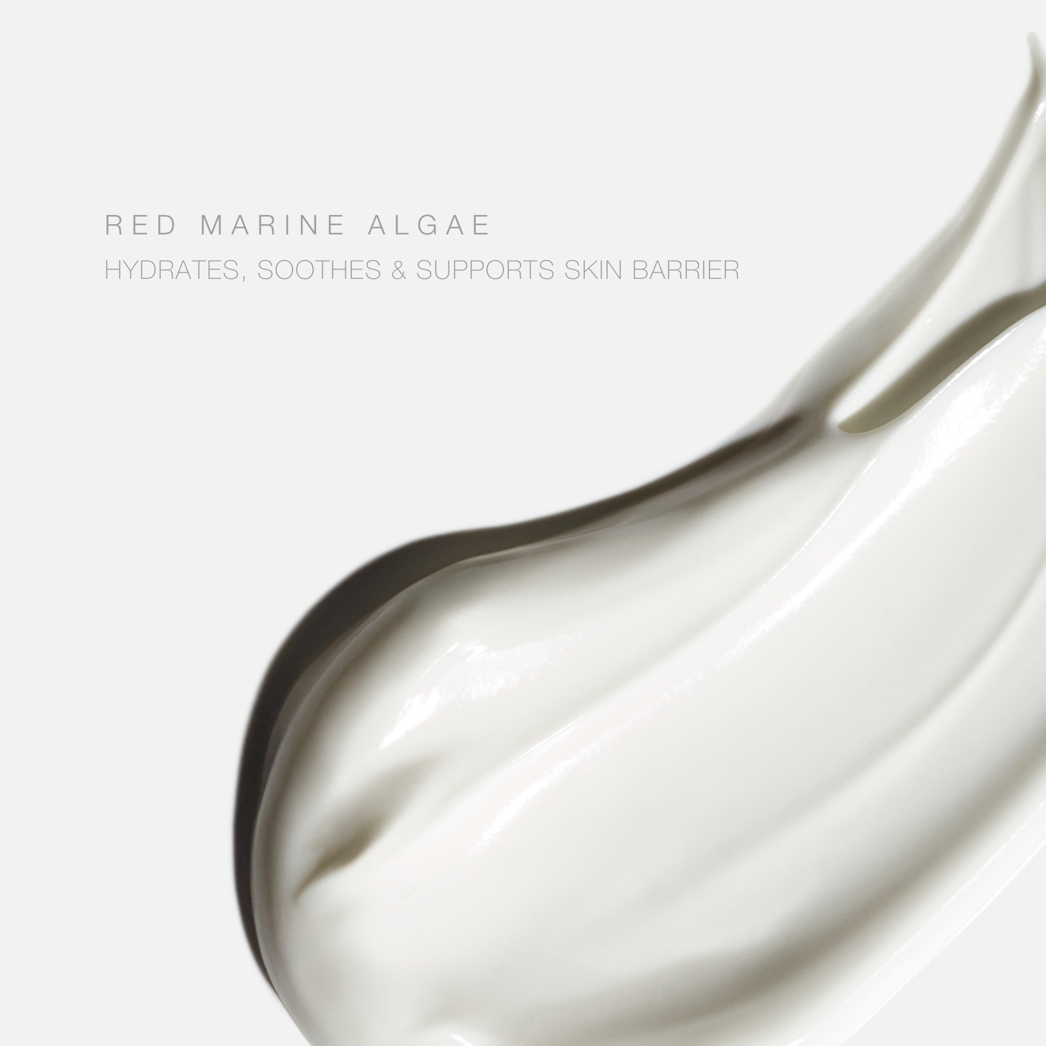 SPF 30 Mineral Lotion